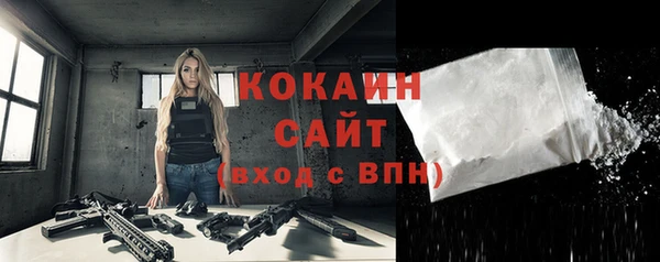 стаф Богданович