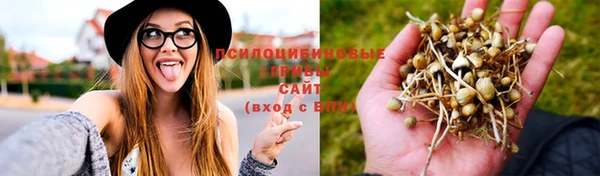 тгк Саяногорск