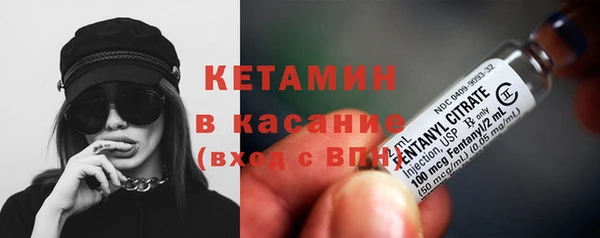 стаф Богданович