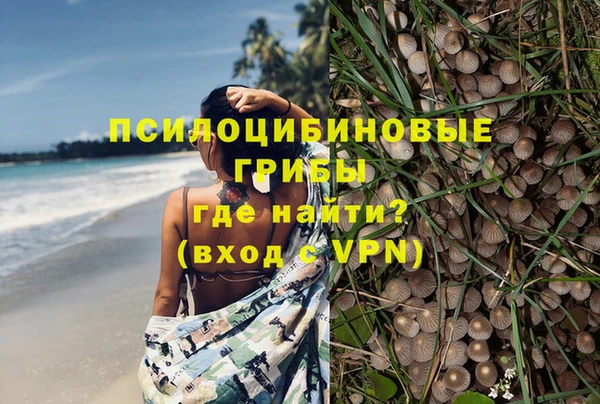 каннабис Богородицк