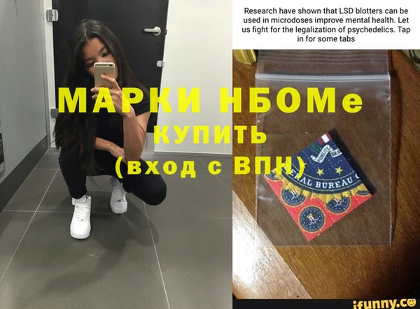 стаф Богданович