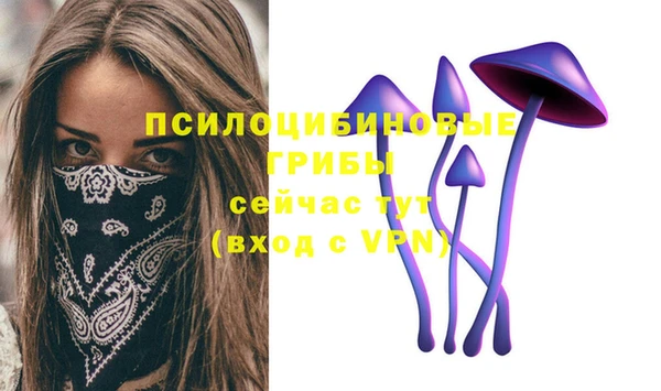 каннабис Богородицк