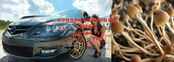 ешки Богородск