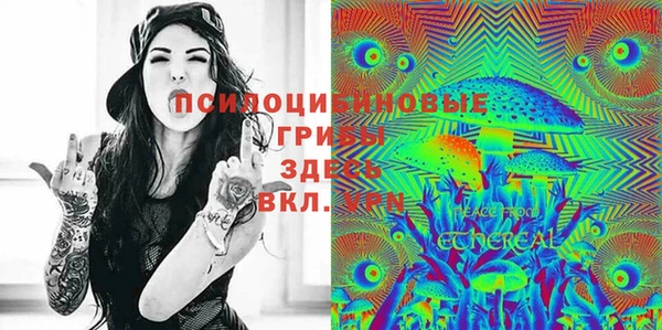 стаф Богданович