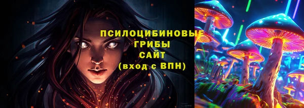 ешки Богородск