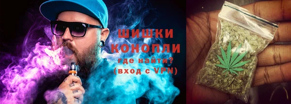 стаф Богданович