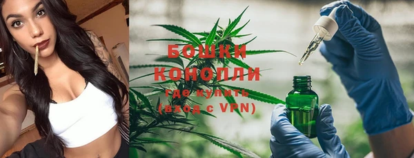 стаф Богданович