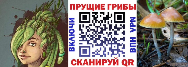 гидра онион  Волосово  Галлюциногенные грибы Psilocybe  купить наркотик 